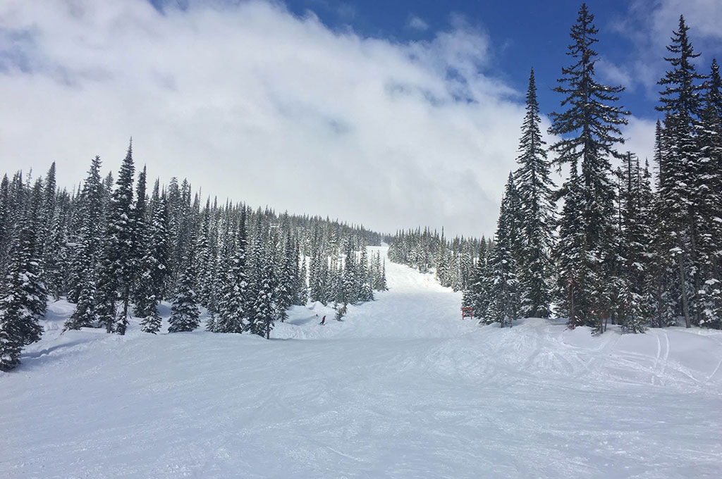 Ski run lined with trees in Big White, Canada