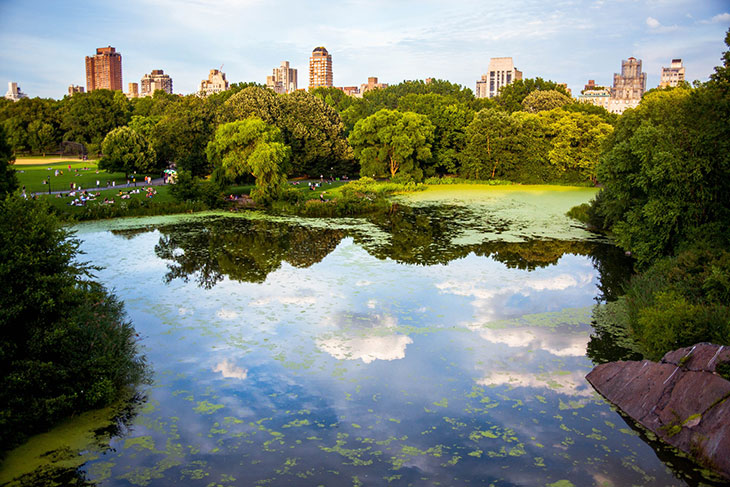 Top 8 Places in the World to #Treatyourself - Central Park