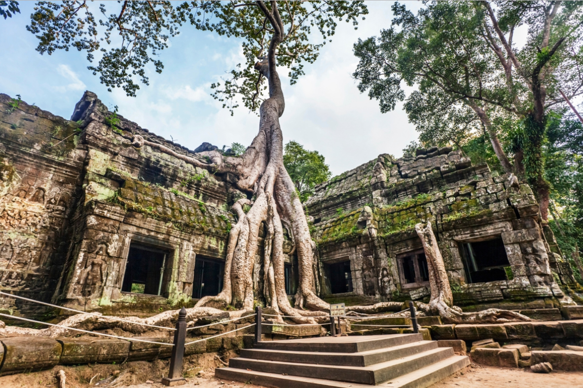 Angkor Wat, Cambodia - Tomb Raider
